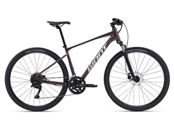 Giant Roam 2 Disc 2024